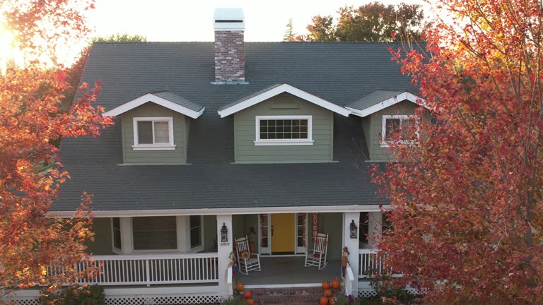 Best Steel Roofing  in Minneota, MN