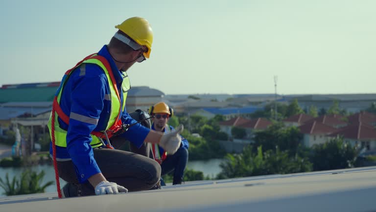 Best Roof Replacement  in Minneota, MN