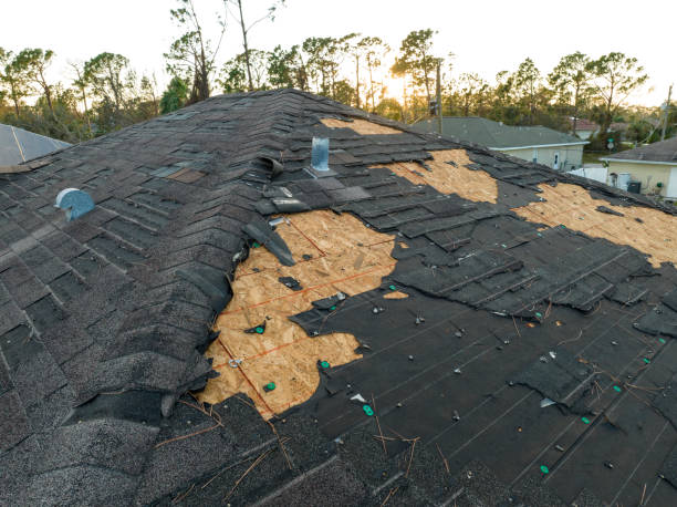 Best Roof Ventilation Installation  in Minneota, MN