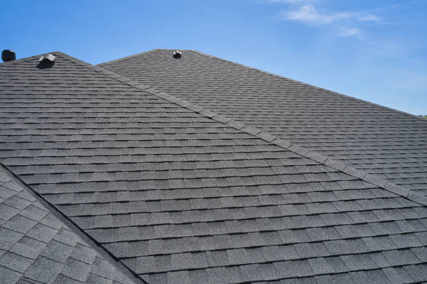 Best Roof Leak Repair  in Minneota, MN